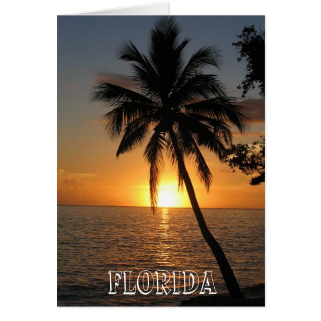 Prachtige Florida (Voorkant)