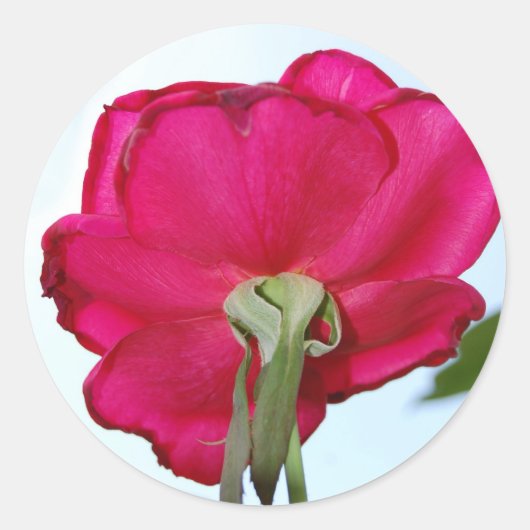 Prachtige Flower Sticker (Voorkant)