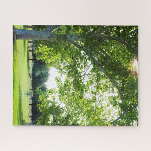 Prachtige Forest Disk Golf Puzzle Legpuzzel (Horizontaal)