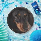 Prachtige foto van dachshund papieren bordje (Feest)