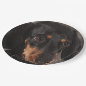 Prachtige foto van dachshund papieren bordje (Gekanteld)