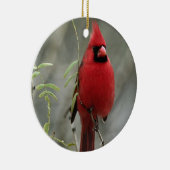 Prachtige foto van kardinaal - Ornament (Rechts)