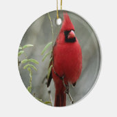 Prachtige foto van kardinaal - Ornament (Links)