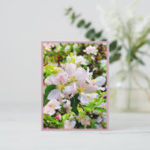Prachtige foto van Malus asiatica Briefkaart (Staand voorkant)