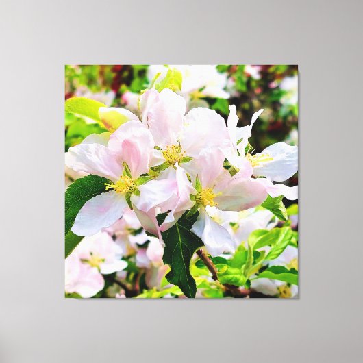 Prachtige foto van Malus asiatica Canvas Afdruk (Voorkant)