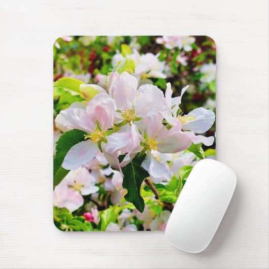 Prachtige foto van Malus asiatica Muismat (Met muis)
