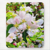 Prachtige foto van Malus asiatica Muismat (Voorkant)