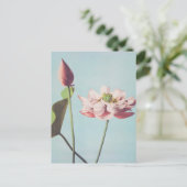 Prachtige fotomechanische prints van Lotus Flowers Briefkaart (Staand voorkant)
