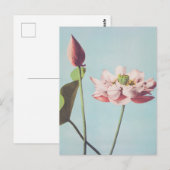 Prachtige fotomechanische prints van Lotus Flowers Briefkaart (Voorkant / Achterkant)