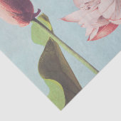 Prachtige fotomechanische prints van Lotus Flowers Tissuepapier (Detail)
