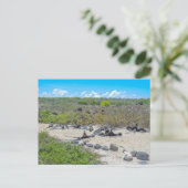 Prachtige fregatvogels drogen hun vleugels briefkaart (Staand voorkant)