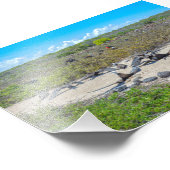 Prachtige fregatvogels drogen hun vleugels foto afdruk (Hoek)