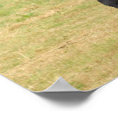 Prachtige Friesian Horse Poster (Hoek)