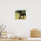 Prachtige Friesian Horse Poster (Keuken)