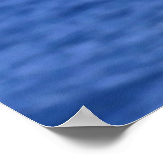 Prachtige Gannet Poster (Hoek)