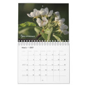 Prachtige Garden Flowers Kalender (Mar 2027)