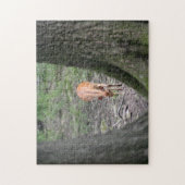 Prachtige Gazelle in het bos Legpuzzel (Verticaal)