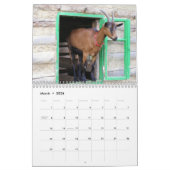 Prachtige geiten 12-maandenkalender voor 2016 kalender (Mar 2026)