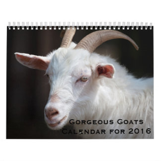 Prachtige geiten 12-maandenkalender voor 2016 kalender