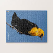 Prachtige gele Blackbird op een dag van de Windy Legpuzzel (Horizontaal)