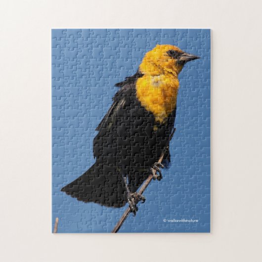 Prachtige gele Blackbird op een dag van de Windy Legpuzzel (Verticaal)