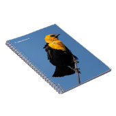 Prachtige gele Blackbird op een dag van de Windy Notitieboek (Rechterzijde)