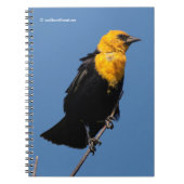 Prachtige gele Blackbird op een dag van de Windy Notitieboek (Voorkant)