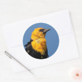 Prachtige gele Blackbird op een dag van de Windy Ronde Sticker (Envelop)