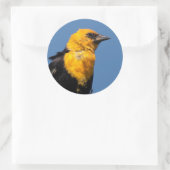 Prachtige gele Blackbird op een dag van de Windy Ronde Sticker (Tas)