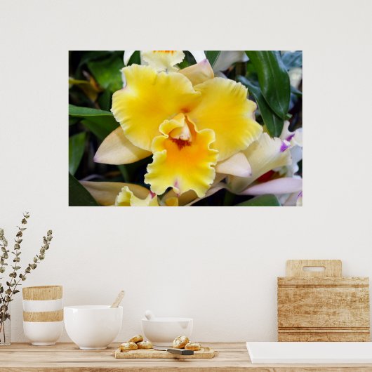 Prachtige Gele Exotic Orchid Poster (Keuken)