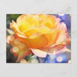 Prachtige gele rozenbloem. Florale fotografie Briefkaart