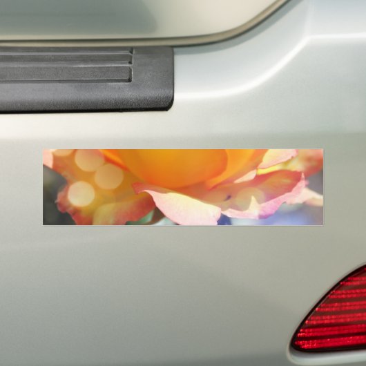 Prachtige gele rozenbloem. Florale fotografie Bumpersticker (Op auto)