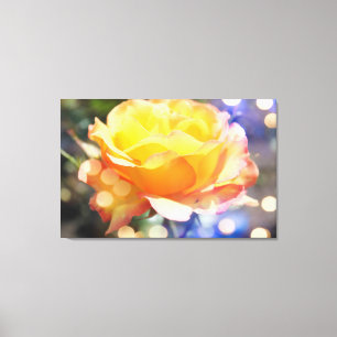 Prachtige gele rozenbloem. Florale fotografie Canvas Afdruk