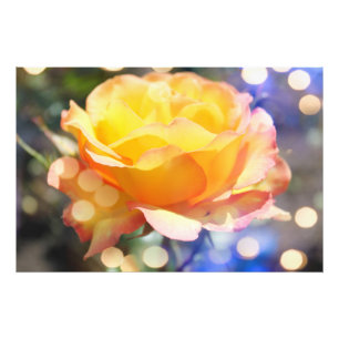 Prachtige gele rozenbloem. Florale fotografie Foto Afdruk