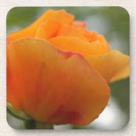 Prachtige gele rozenbloem fotografie. bier onderzetter