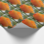 Prachtige gele rozenbloem fotografie. cadeaupapier (Hoek)