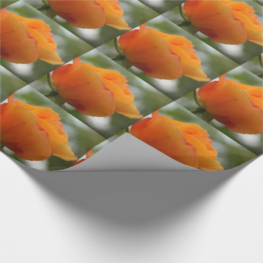 Prachtige gele rozenbloem fotografie. cadeaupapier (Hoek)