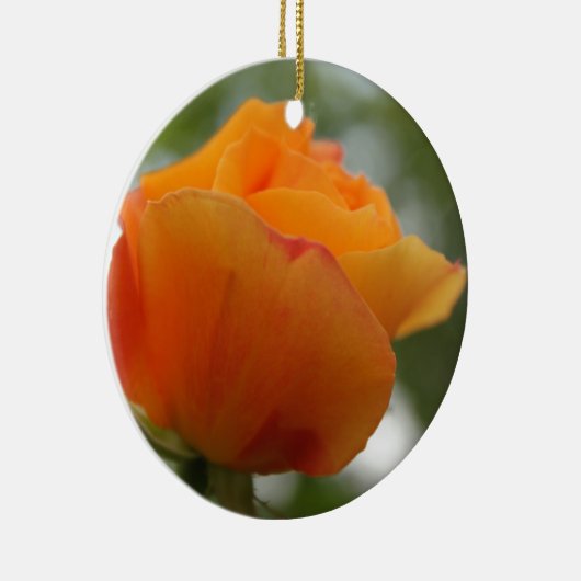 Prachtige gele rozenbloem fotografie. keramisch ornament (Rechts)