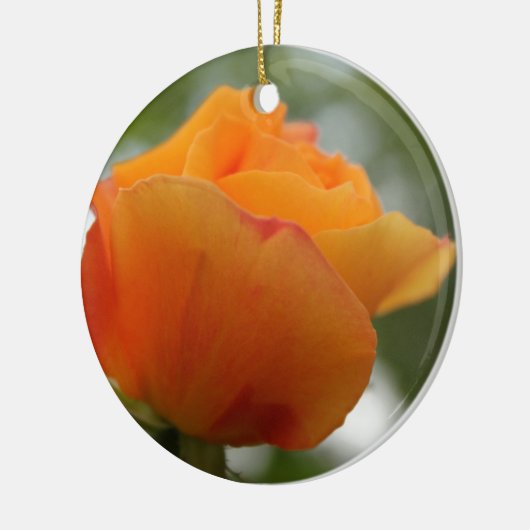 Prachtige gele rozenbloem fotografie. keramisch ornament (Links)