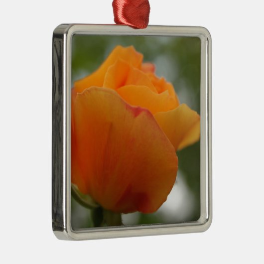 Prachtige gele rozenbloem fotografie. metalen ornament (Rechts)