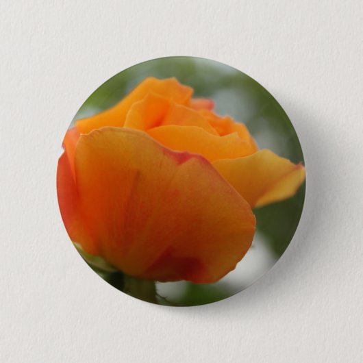 Prachtige gele rozenbloem fotografie. ronde button 5,7 cm (Voorkant)