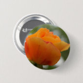 Prachtige gele rozenbloem fotografie. ronde button 5,7 cm (Voorkant /achterkant)