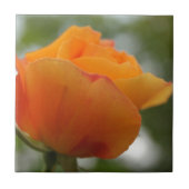 Prachtige gele rozenbloem fotografie. tegeltje (Voorkant)