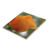 Prachtige gele rozenbloem fotografie. tegeltje (Zijkant)