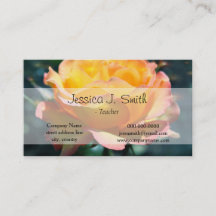 Prachtige gele rozenbloem op groene achtergrond.