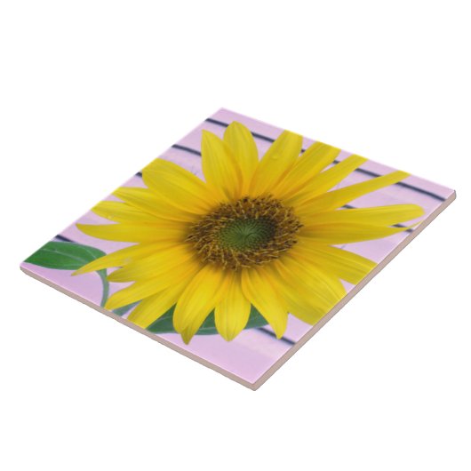 Prachtige gele zonnebloem zomerbloei tegeltje (Zijkant)