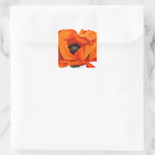 Prachtige Georgia O'Keefe Red Poppy Flower Vierkante Sticker (Tas)