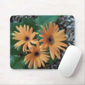Prachtige Gerber Daisy Mousepad Muismat (Met muis)
