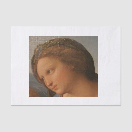 prachtige gezichtsontkoppeling tissuepapier (Voorkant)