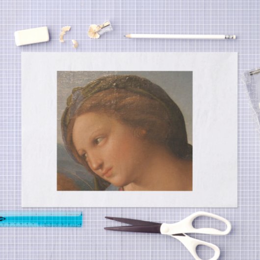 prachtige gezichtsontkoppeling tissuepapier (Craft)